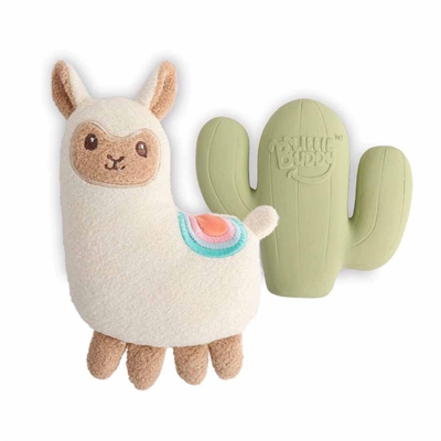 All For Paws Little Buddy Valpleksak Fiesta Lama & Kaktus